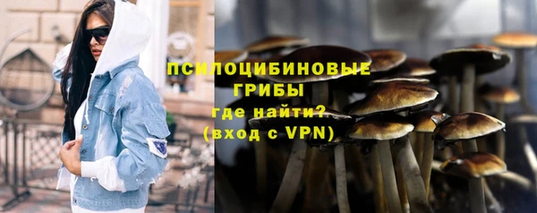 амфетамин Новодвинск