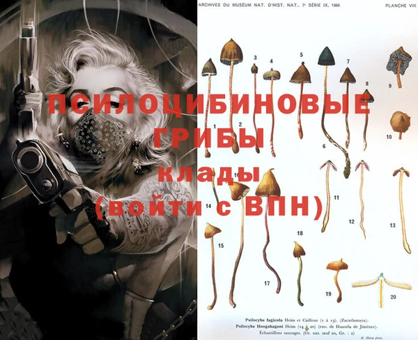 экстази Новозыбков