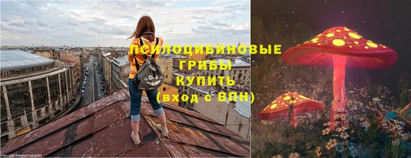 экстази Новозыбков